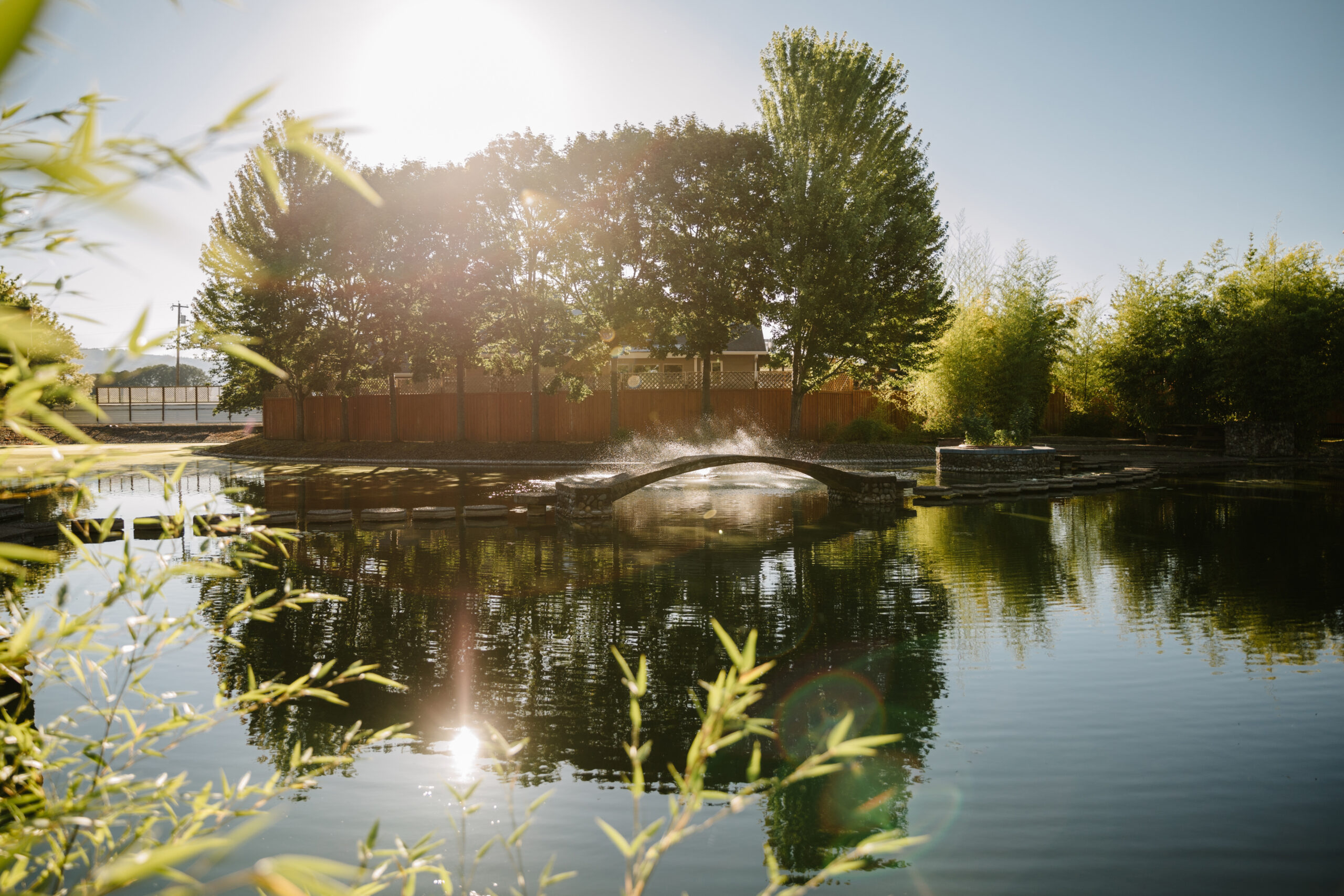 The Water Oasis Arbor draped with white chiffon, a chandelier and hanging flower baskets.