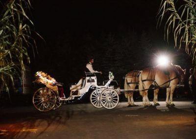 A carriage for the newlyweds