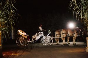 The newlyweds kiss in their carriage