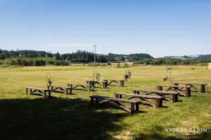 Benches on an open field