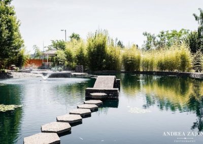 A pond surrounded by trees and plants.