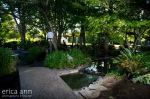 A garden space with a pond and trees