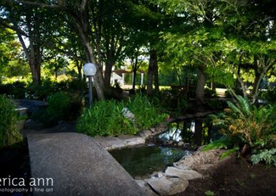 A garden space with a pond and trees