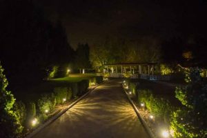 A pathway lit up at night in a garden.