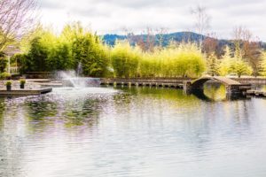 A pond with a bridge in the middle of it.
