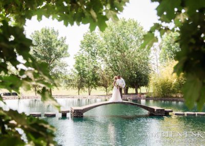 The newlyweds kissing on the bridge over the pond