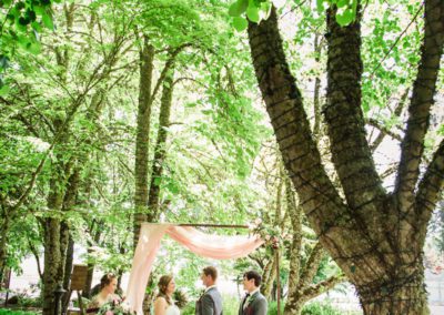 Trees decorated for the wedding