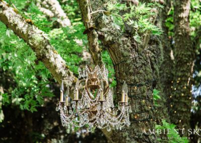 A chandelier hanging from a tree