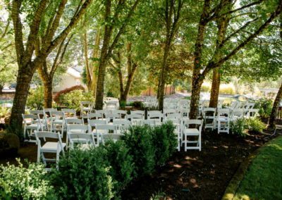 Chairs under the trees