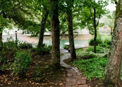 A pathway through the trees