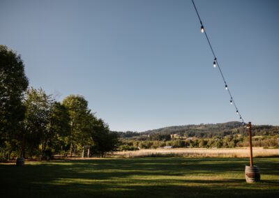 A pole with a string of lights installed in the field